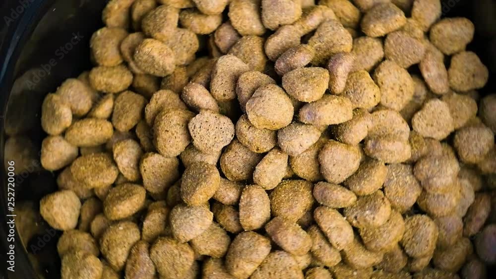 Rotation HD video of Dog food in bowl. They are brown granules.Close-up of pet dry food. Rotation HD video of Dog food in bowl. They are brown granules.Close-up of pet dry food.