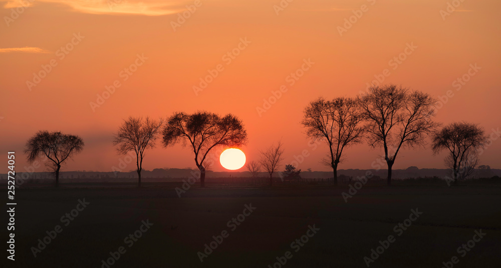 Tramonto Africano 