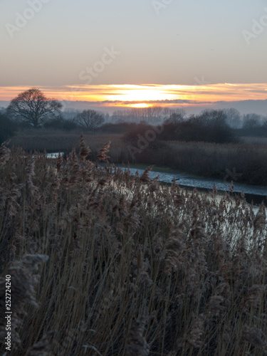 Beautiful countryside Dedham water scene outside nature landscape space