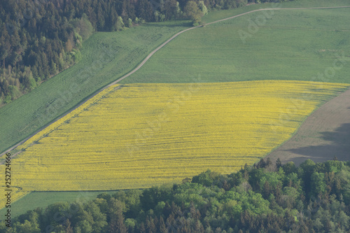 Felder und Wiesen-Landschaft im bayerischen Voralpenland