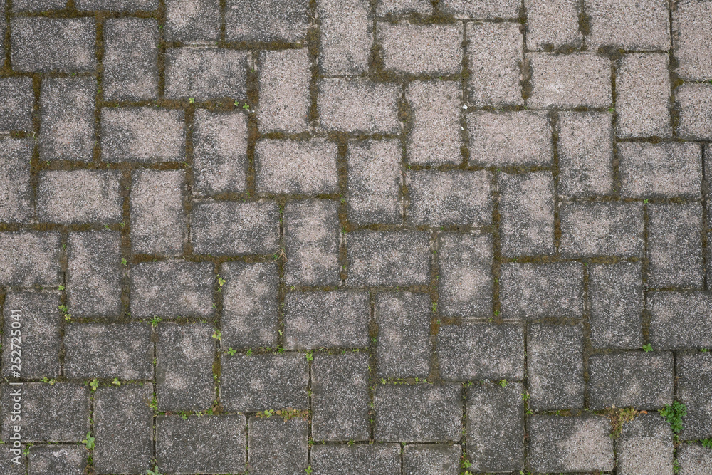 Obraz premium The aged ground with bricks
