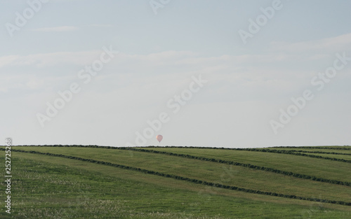 Wiesen-Landschaft mit Ballon im bayerischen Voralpenland