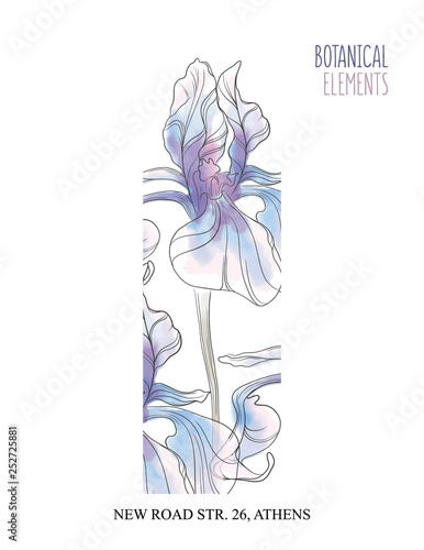Iris hand drawn illustration. Floral decoration, beautiful wedding bloom card. Graphic banner with watercolor iris plants, summer pastel decoration.