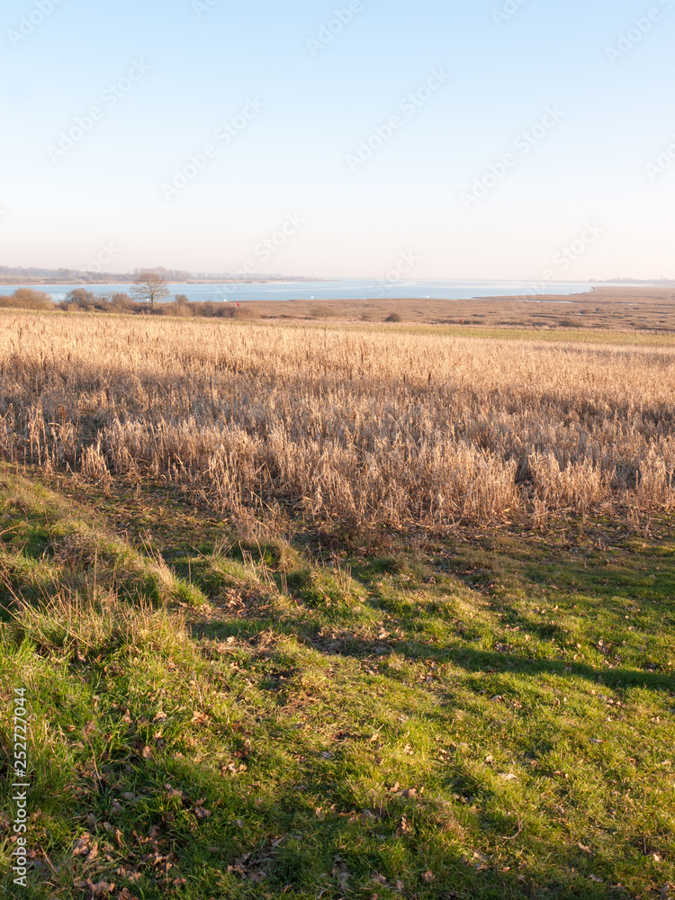 Fingringhoe wick nature reserve outside landscape background space open country countryside