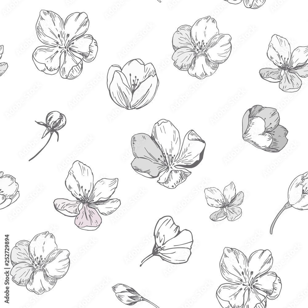 Floral seamless pattern with apple blossoms. Vector