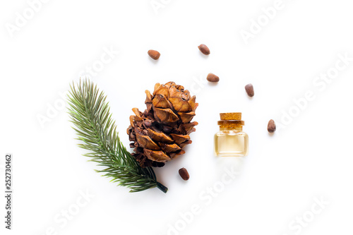 Cedar oil Bottles with pine oil and pine nuts, isolated on a white background