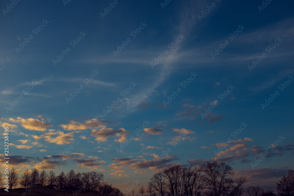 Fototapeta premium silhouettes of trees in winter with sky and clouds