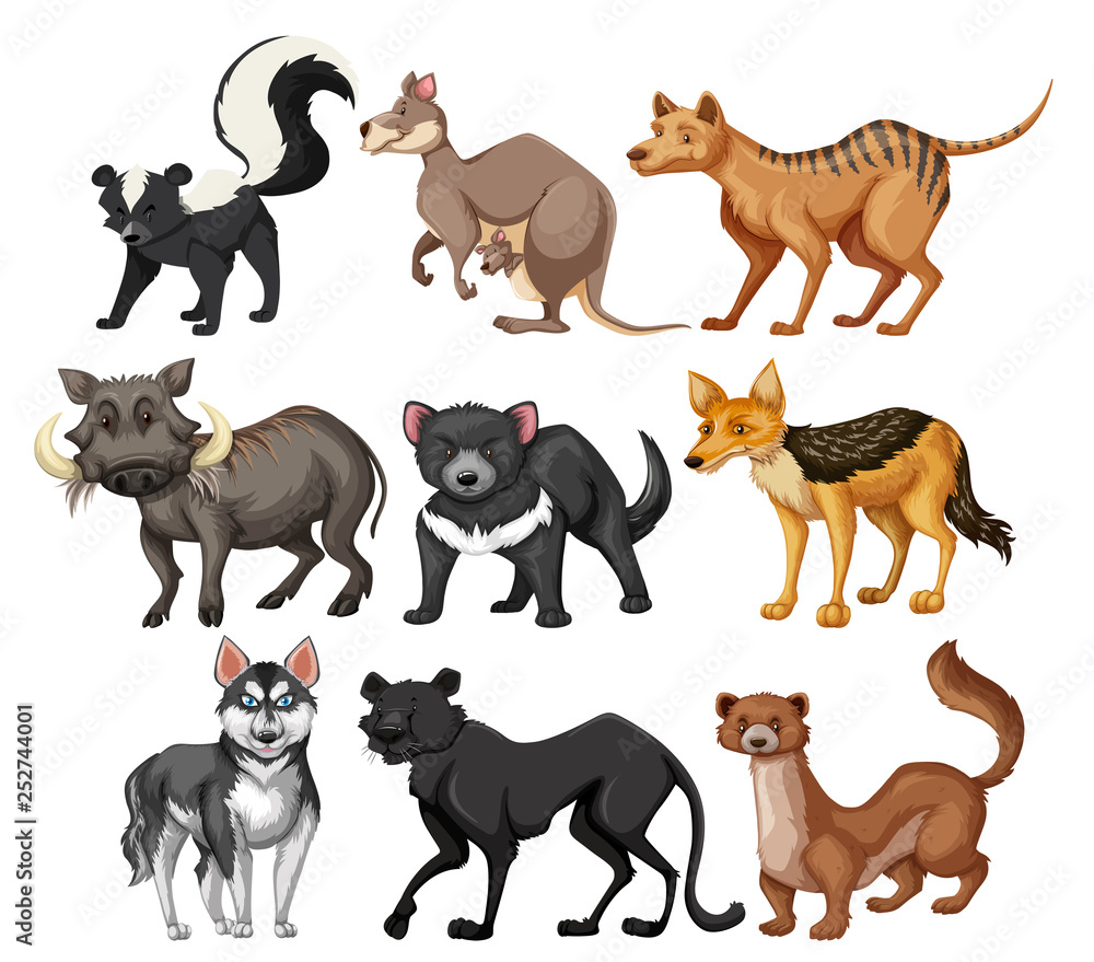Set of wild animal character Set of wild animal character
