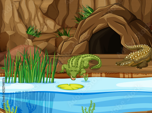 Crocodile at the swamp