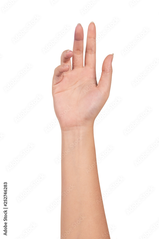 Woman hand isolated on white background. Woman hand isolated on white background.