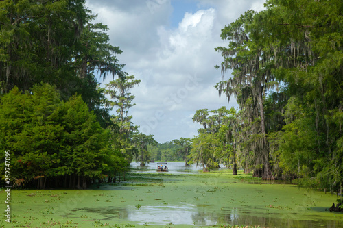 Swamp lake martin lafayette
