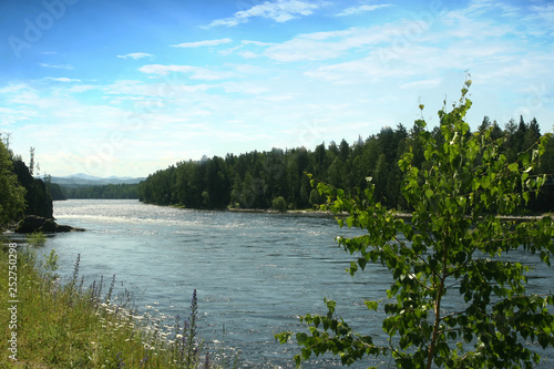 Mountain river in Altai