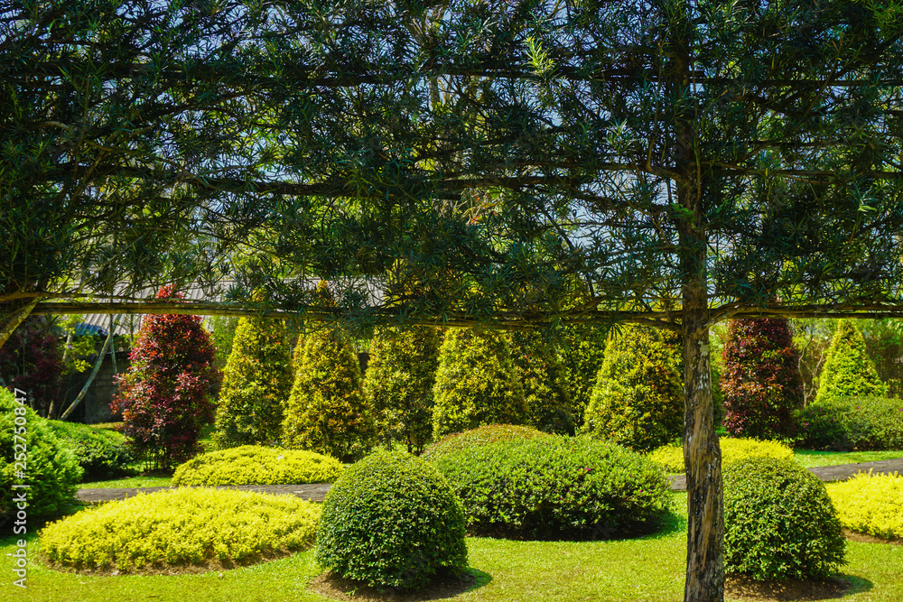a green wall decoration on the tree with beautifull bush garden on background