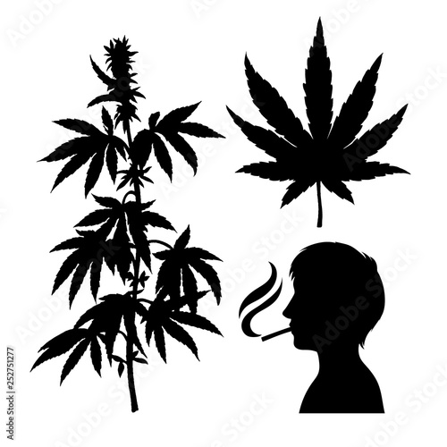 Silhouettes of hemp. Smoking person. Cannabis leaf. Vector marijuana twig