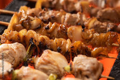 Konstfotografi 焼き鳥