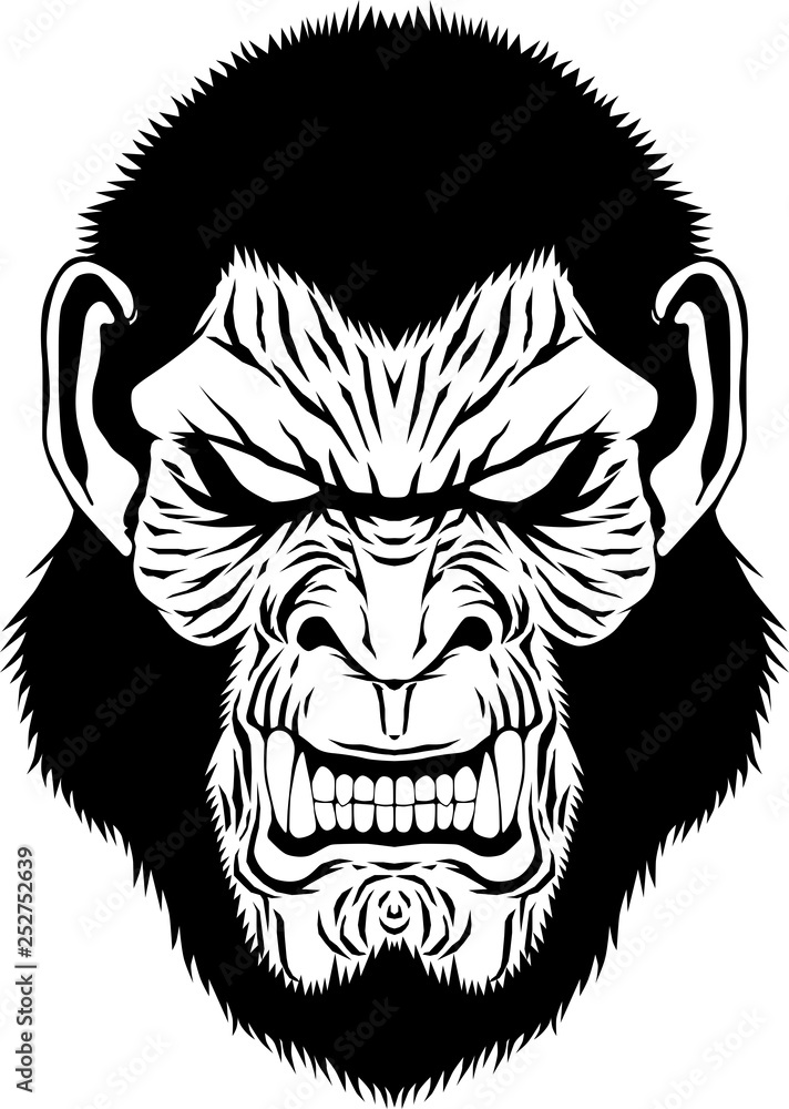 Fototapeta premium APE