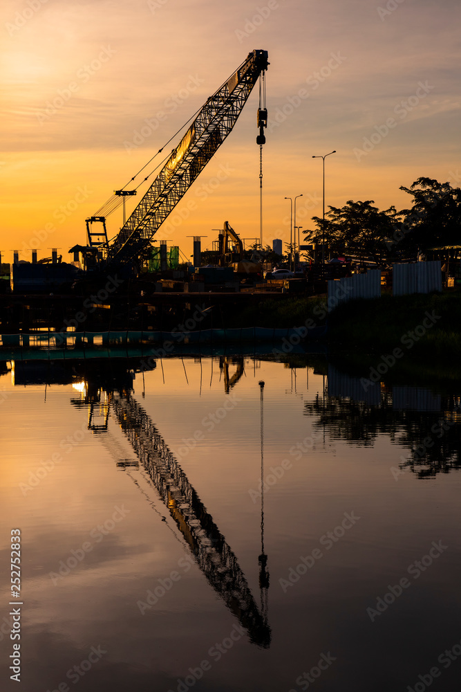 A big crane reflect on the swamp surface A big crane reflect on the swamp surface