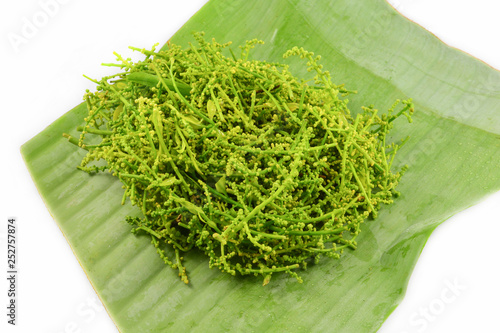 Leaf and flower of Melientha suavis pierre on banana leaf background photo