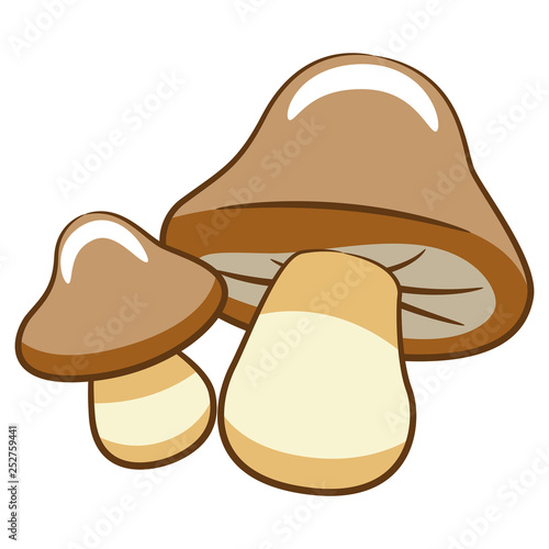 mushroom