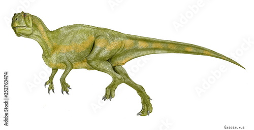 ガソサウルス　ジュラ紀中期に中国大陸に生息していた小型の肉食恐竜。展示されている再現骨格は不完全。本物の頭部は欠落しており、形成的にイラストとして再現するための肉付けに想像力を必要とし、正面を向きかけた頭部をやや下方から仰いだ角度で描いた。属する科についてもまだ定説はない。この獣脚類の発見には中国のガス会社が大きく貢献しており、学名はそのガス会社に因んでいる。全長4メートル。