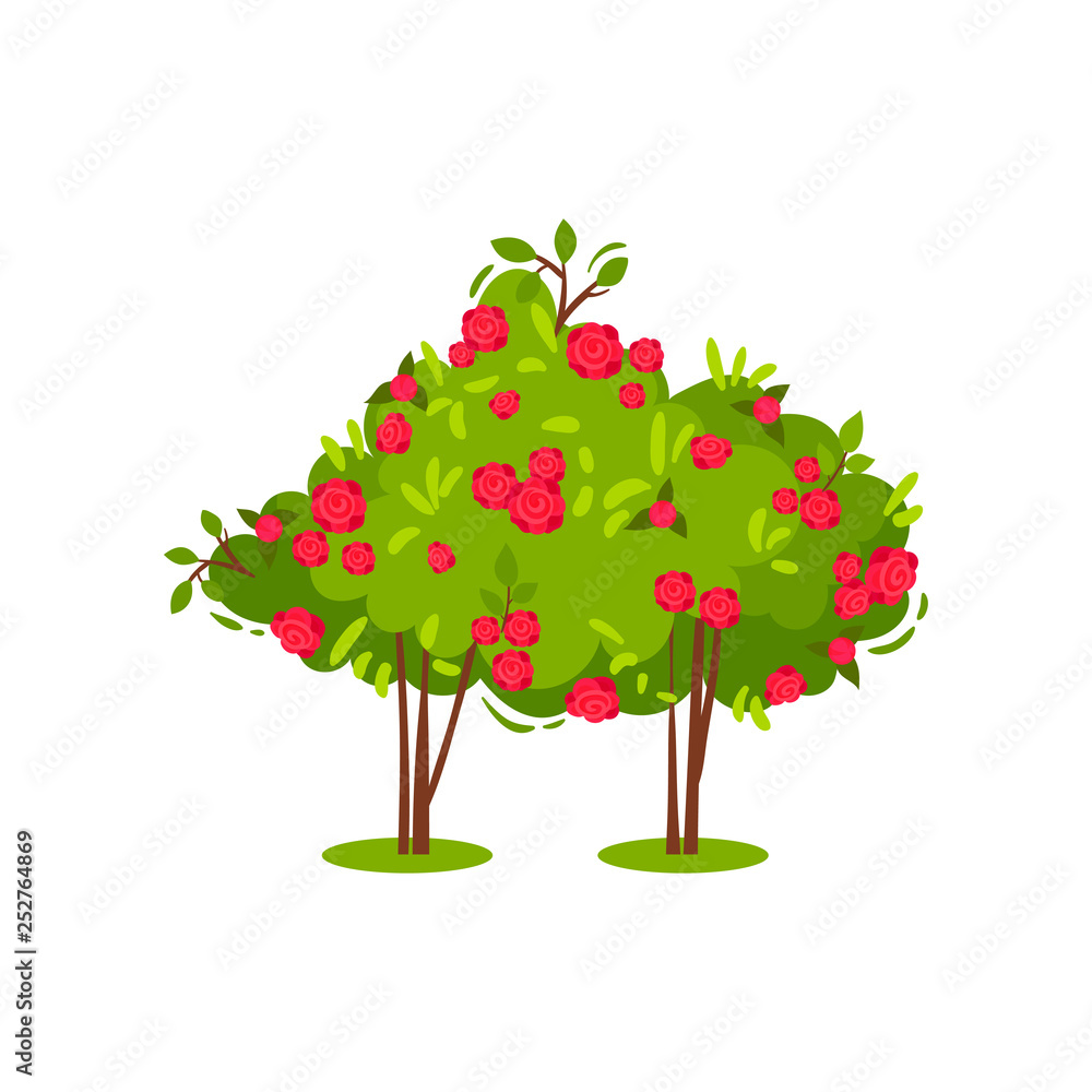 Two bushes with cute bright pink roses. Beautiful flowering plant. Garden flowers. Summer season. Flat vector icon