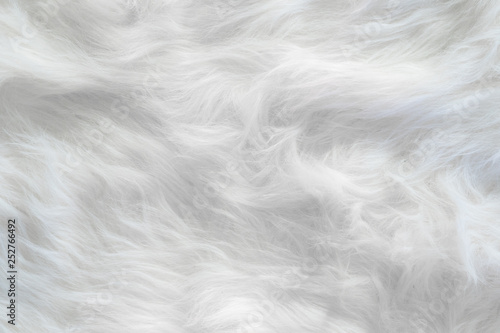 White wool silk feathers background and textured.