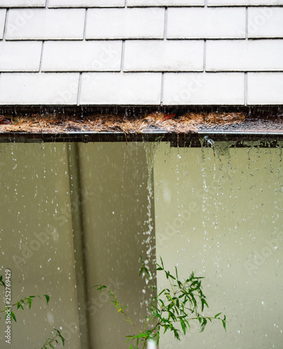Wallpaper Mural Close up on section of rain gutter clogged with leaves, debris on residential home during the rain Torontodigital.ca