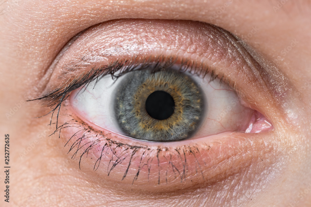 Fototapeta premium Detailed view of open eye of woman
