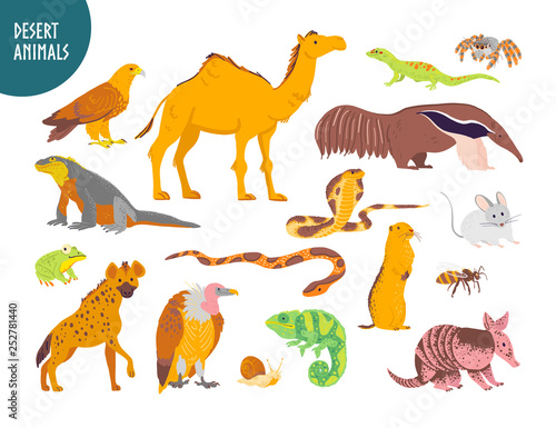 Fototapeta Naklejka Na Ścianę i Meble -  Vector collection of flat hand drawn desert animal, reptiles, insects: camel, snake, lizard isolated on white background. For children book illustration, alphabet, zoo emblems, banners, infographics.
