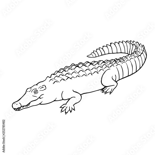 Hand drawn crocodile. Linear style. Vector line drawing