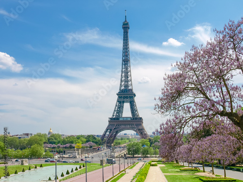 Fototapeta Naklejka Na Ścianę i Meble -  Eiffel Tower from Trocadero Square in Paris