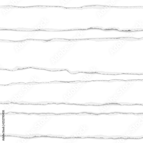 Several torn white paper stripes with shadow placed on white background. Realistic ripped paper pieces. Vector template paper design.