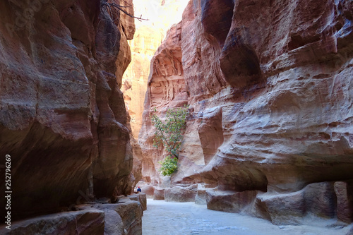 Jordan; canyon of Petra