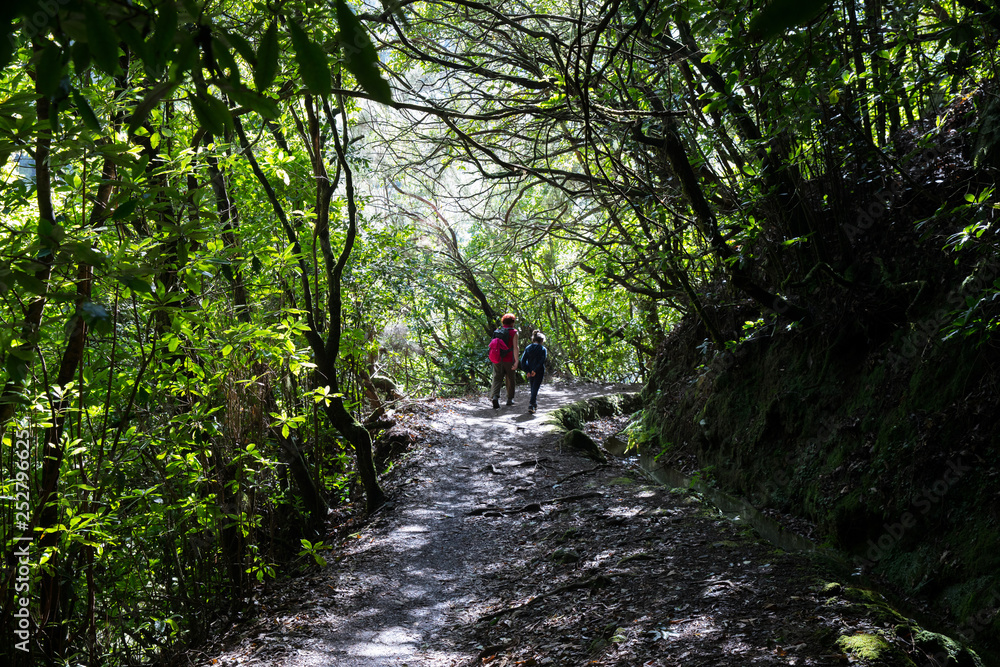 Levada of Madereira