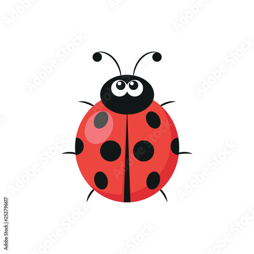 Cute ladybug icon © denis0909