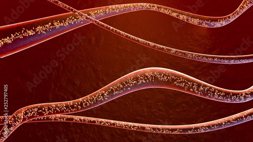 3D rendered Animation of blood cells flowing through arteries or veins.