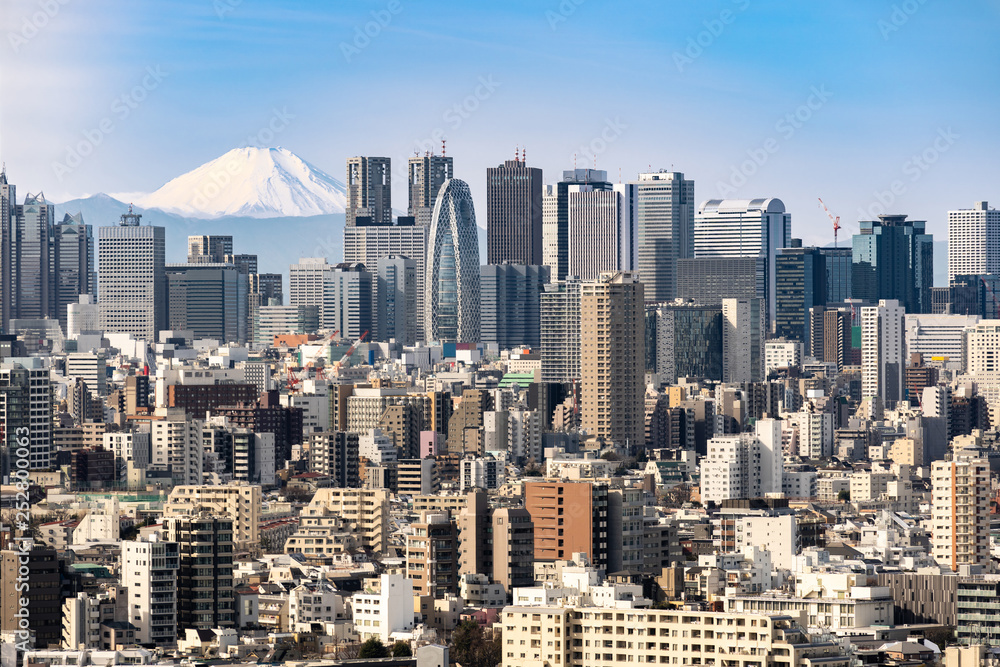 Naklejka premium Tokyo skyline and Mountain fuji in Japan.