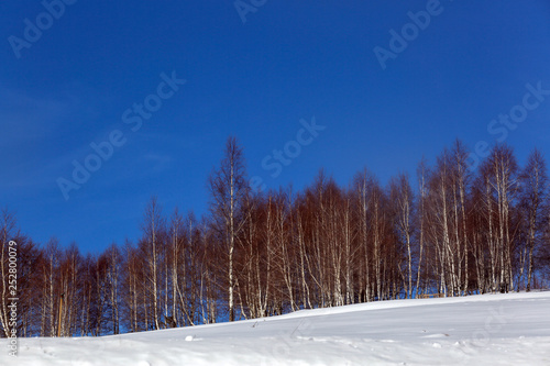 Landscape view outdoor on a beautiful winter's day