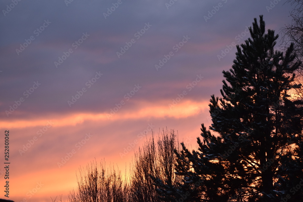 Obraz premium Paysage