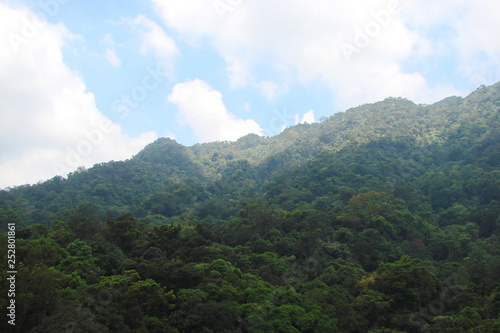 Panorama of a dense green forest on a slope of the mountain range under the rays of the midday sun on the background of a cloudy blue sky.