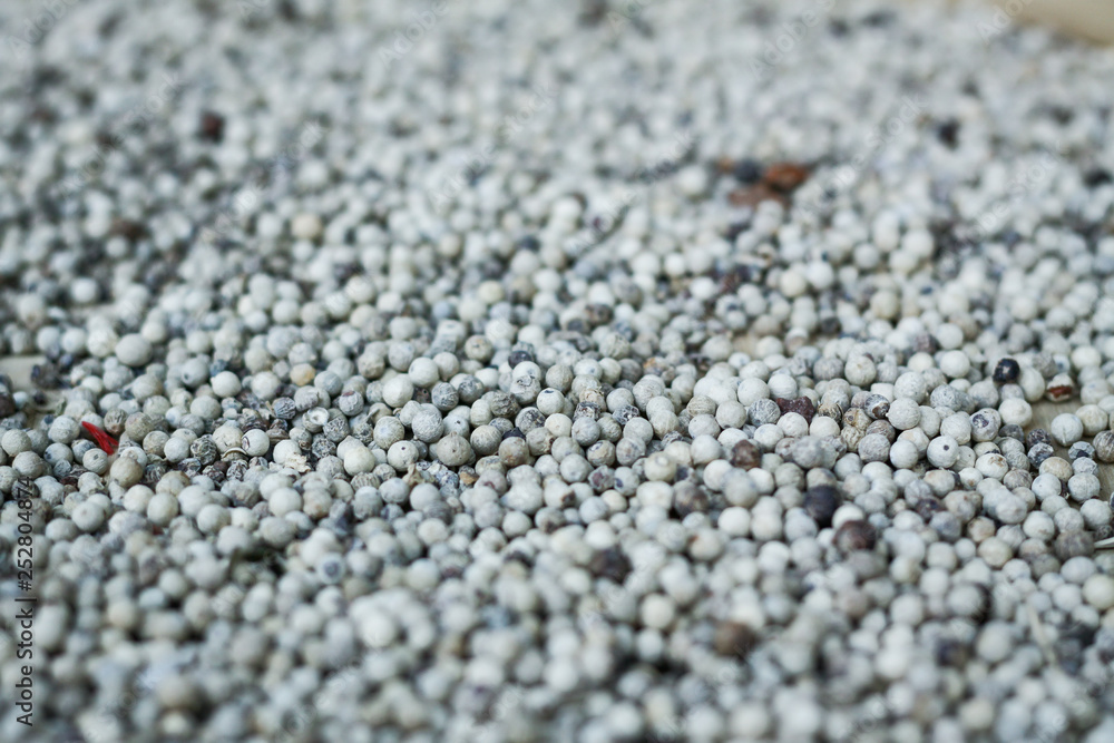 texture de grains de poivre blanc en gros plan texture de grains de poivre blanc en gros plan