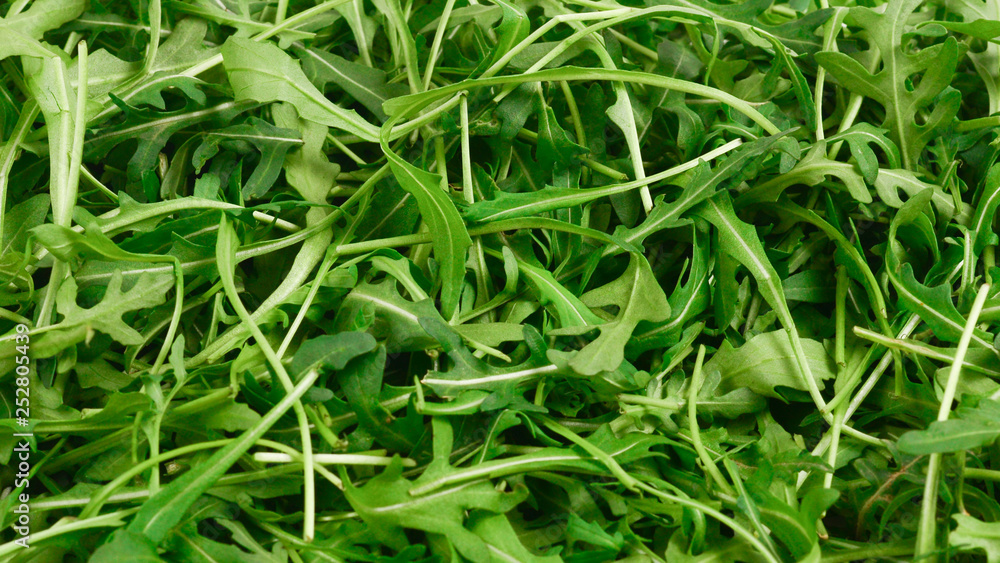 Fresh leaves of arugula as background. Fresh leaves of arugula as background.