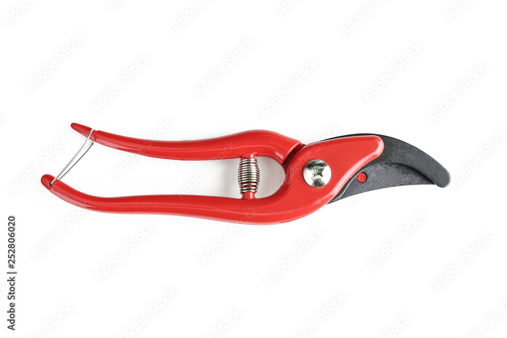 Obraz premium Pruner on white background