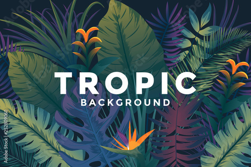 Tropical background with jungle plants. Trendy background with tropic leaves, can be used as Exotic wallpaper, Greeting card, poster, placard. Vector Illustration