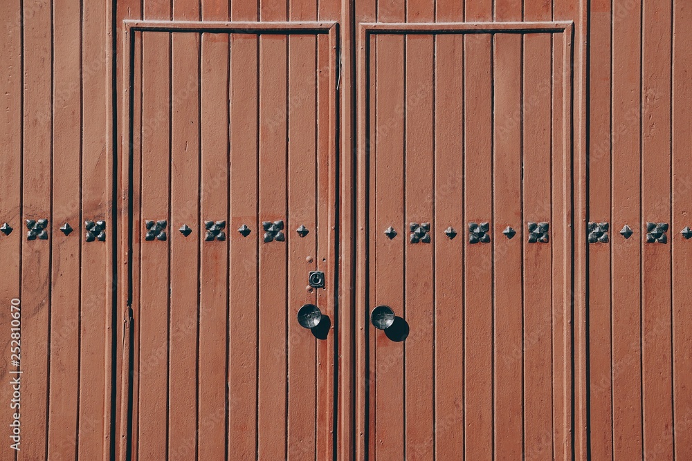 Fototapeta premium door in the street