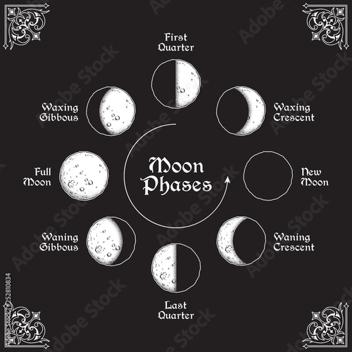 Antique style hand drawn line art and dot work moon phases circle. Boho poster, tattoo, altar veil or tapestry design vector illustration.