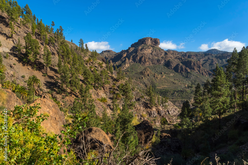 Canary islands gran canaria sunny day outdoor