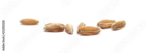 Spelt grains, heap isolated on white background, macro