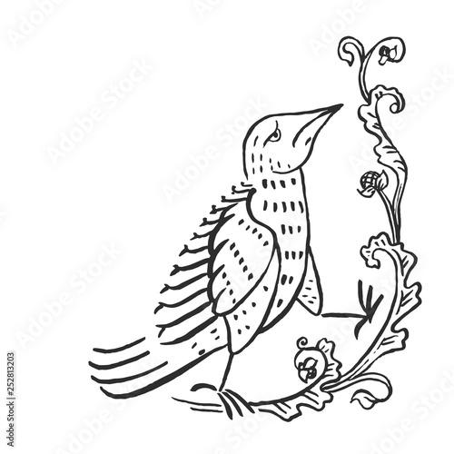 Medieval art pigeon illustration