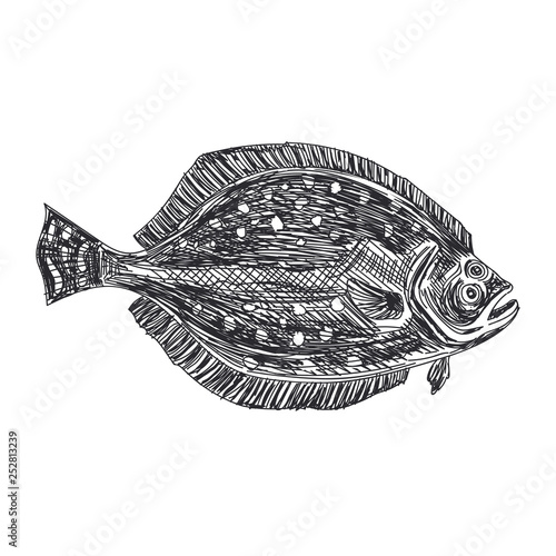 vector hand drawn lavender fish Illustration.